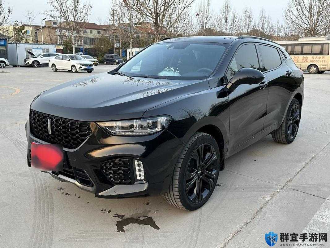 weyvv5 国产 SUV 免费大放送啦