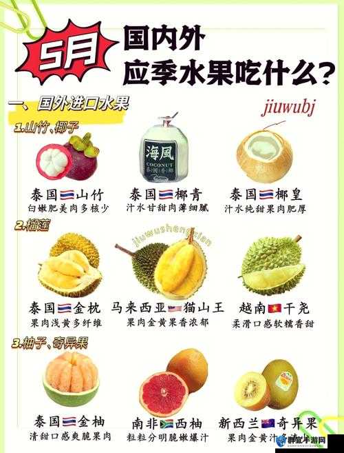 榴莲香蕉苹果哈密瓜水蜜桃的缤纷水果盛宴