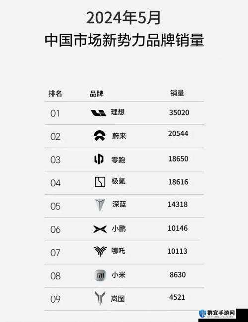 国产欧洲日产：汽车行业的新势力崛起