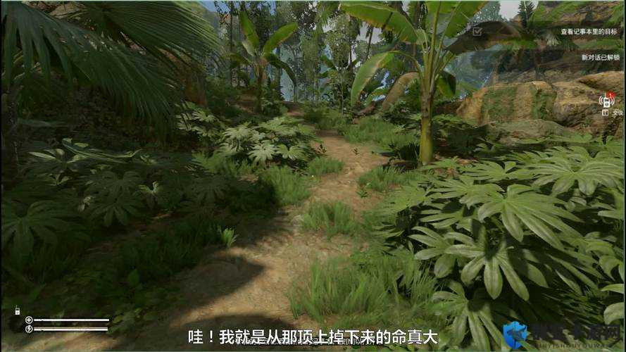 绿色地狱中的橘子奇迹，解锁食用效果新篇章
