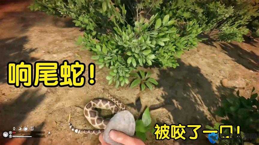 绿色地狱捕虾笼制作与陷阱解锁方法分享