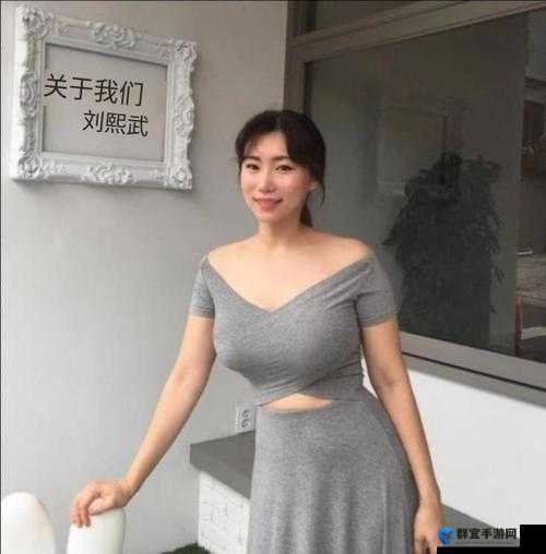 沈阳老阿姨最后的巅峰在哪个位置-探寻其背后的故事与意义