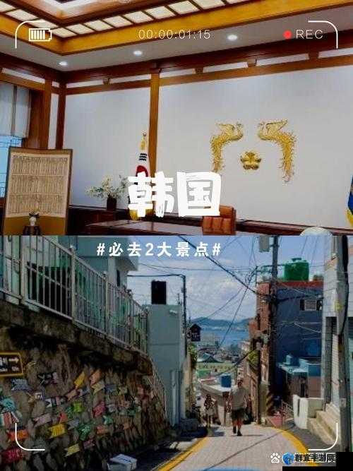 忘忧草日本 WWW 韩国：带你领略不同文化的魅力