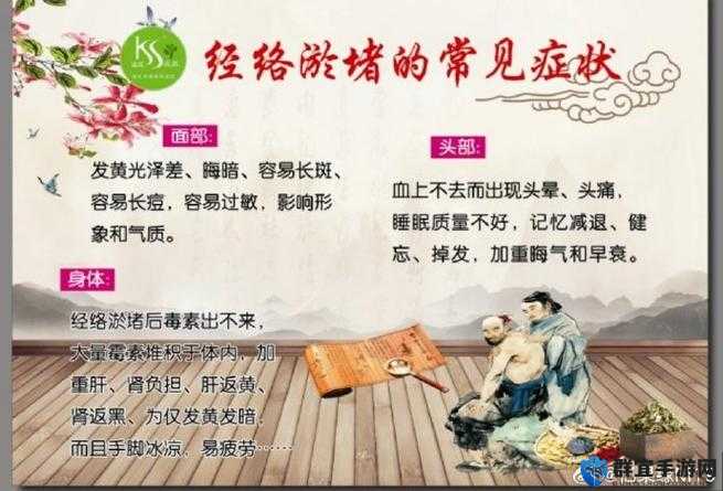 秘精益气之道：探寻身体潜能与健康的奥秘