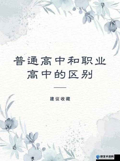 17c14cv ：深入探究其独特价值与潜在应用