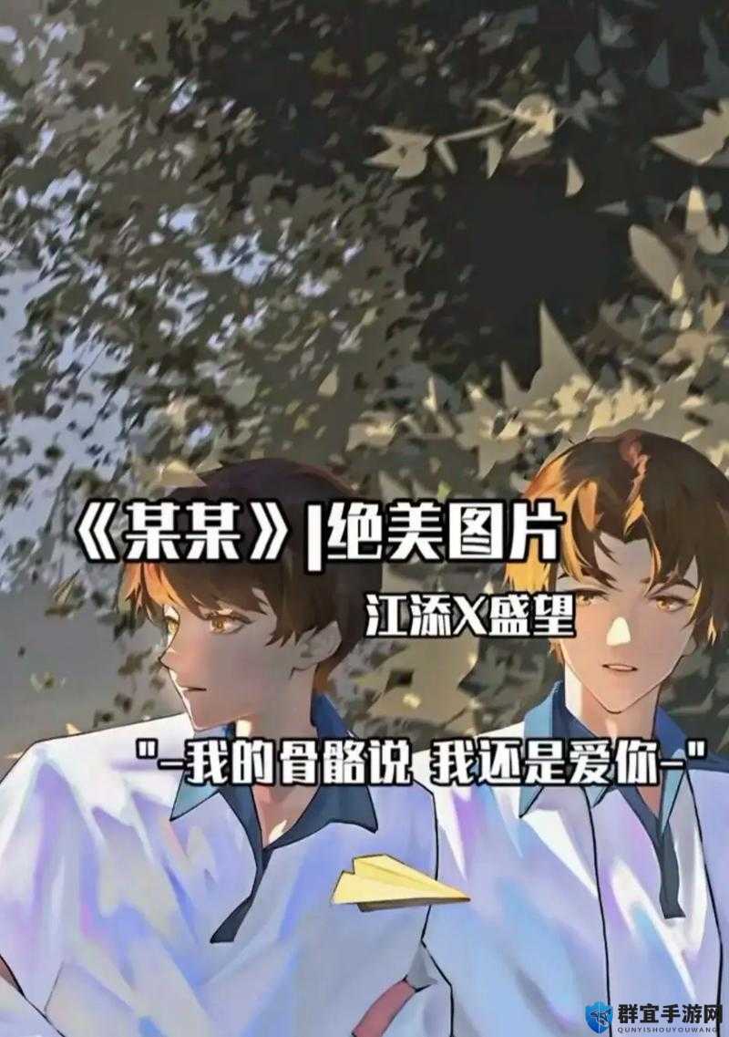 江添把盛望做流:关于他们之间的故事与情感发展
