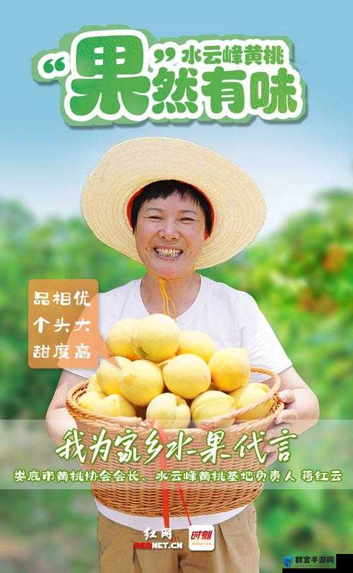 9612 黄桃网址进入页面手机端：畅享精彩桃味之旅
