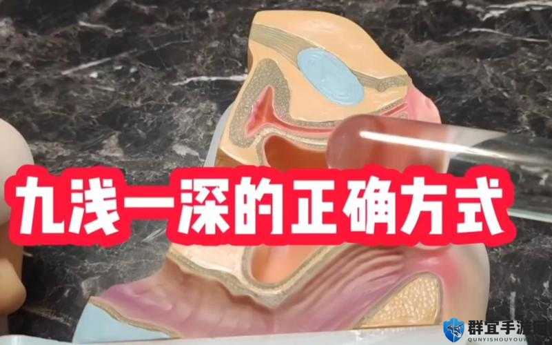九浅一深与左三右三如何搭配开放且免费使用之探讨