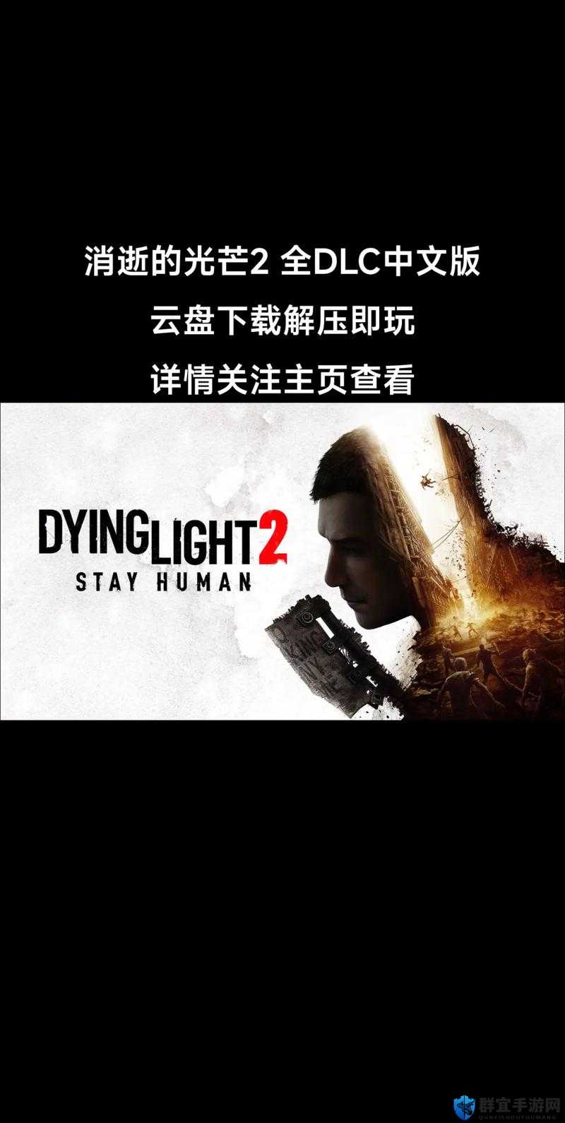 消逝的光芒字幕开启秘籍，轻松解锁剧情理解新境界