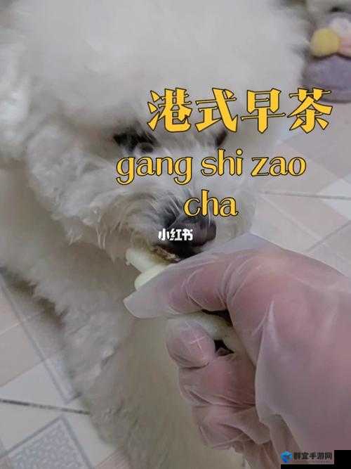 狗胶配方大全高清视频：探秘多种美味狗胶的制作秘籍
