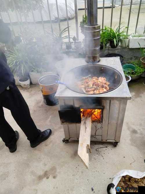 大香煮 2024 一人一煮：关于其独特烹饪方式与意义的探讨