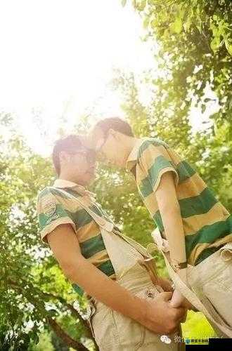 关于 Gay Fuck Gay Fuckingvideo 的精彩探讨与呈现