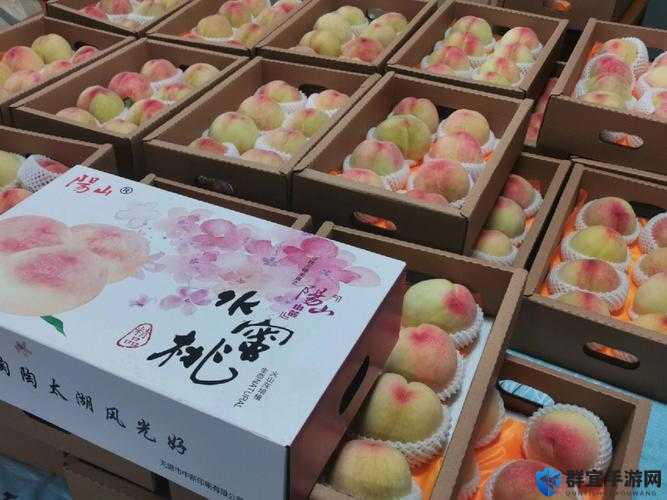 欧产日产国色天香水蜜桃品鉴：水蜜桃中的爱马仕