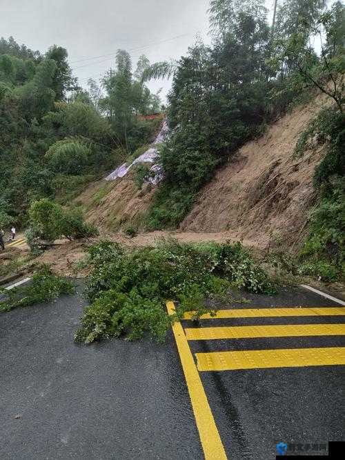 悬崖帝国暴雨怎么办，灾难暴雨应对方法