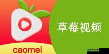 草莓视频 18 在线观看入口：畅享精彩无极限