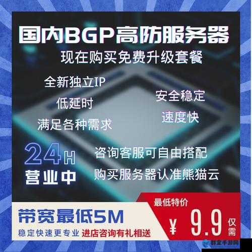 日本 VPS ：稳定高效的服务器选择与应用解析