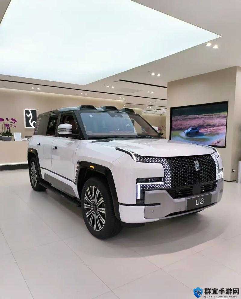 497799 欧洲版国产 SUV 究竟是什么神秘车型呢