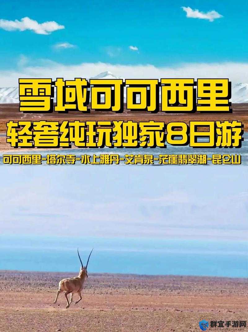 可可西里大但人文艺术：探寻神秘高原的心灵之旅