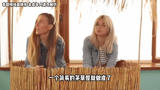 混乱家庭派对：一场充满意外和惊喜的狂欢之旅