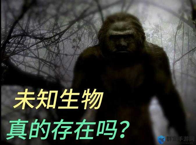 抬头看镜子里的接合处隐藏了什么：探索未知的边界