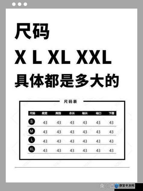 欧码 XL 究竟是不是真正意义上的亚洲码之探讨