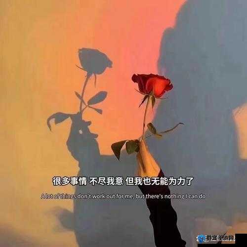 爸放手我是你媳妇最火的一句：背后的情感纠葛与家庭纷争