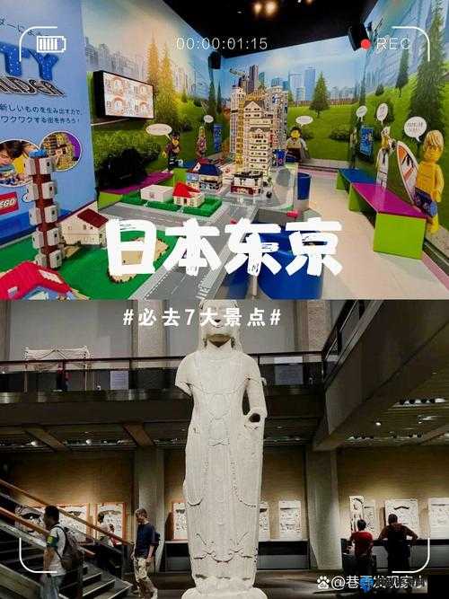 13277 大但人文艺术日本活动:独特艺术之旅