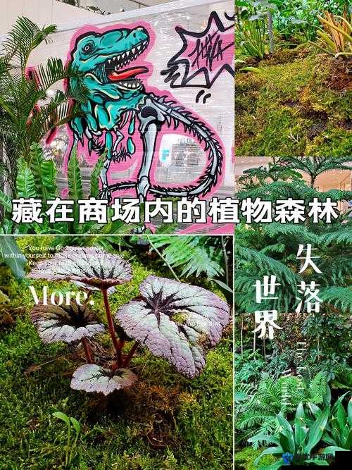 氧气草变成森林树方法介绍