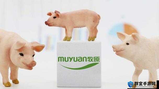 猪和人类 DNA 视频高达已成功上架：引发广泛关注和思考