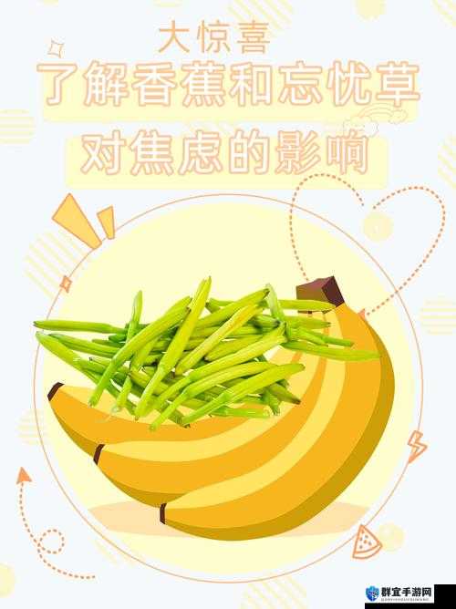 香蕉和忘忧草对焦虑的影响已进行破解？平台：探索健康生活的新途径