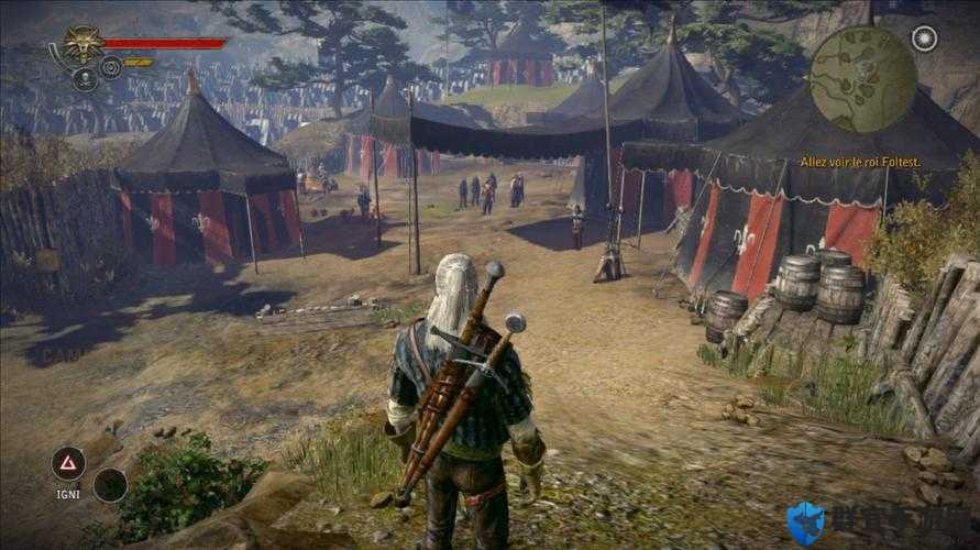 巫师2，全面攻略——推倒技巧详解与策略指南