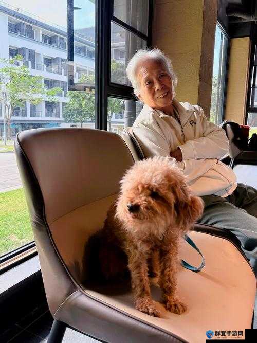 老孙头退休后的悠然生活：享受惬意时光与多彩日常