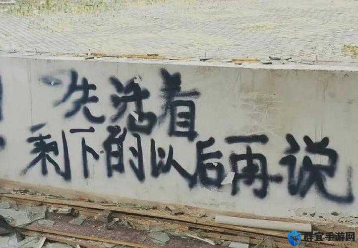 AAAA 级毛皮最火的一句竟直接摆烂：背后原因令人深思