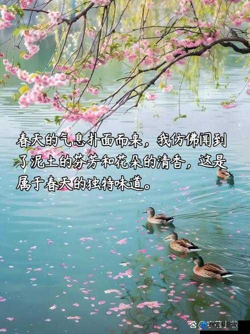 在春天里最动人的风景背后：探寻生命与希望的故事