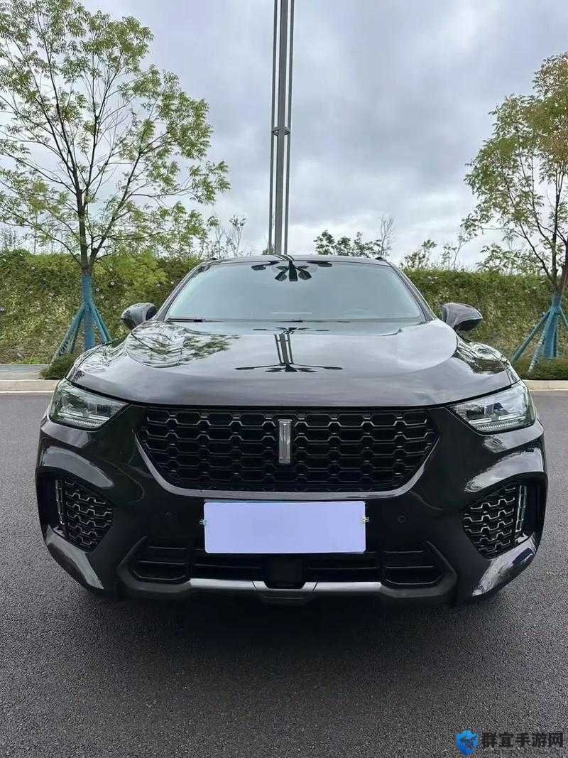 weyvv5 国产 SUV：卓越品质引领出行风尚