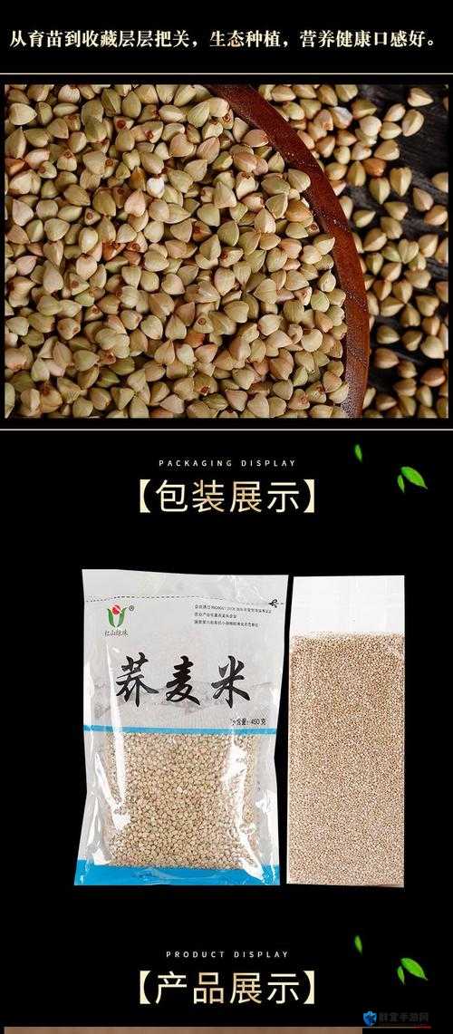 教堂时代荞麦的产地与获得方法