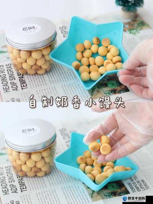 小学六年级的小馒头的奇妙冒险之旅
