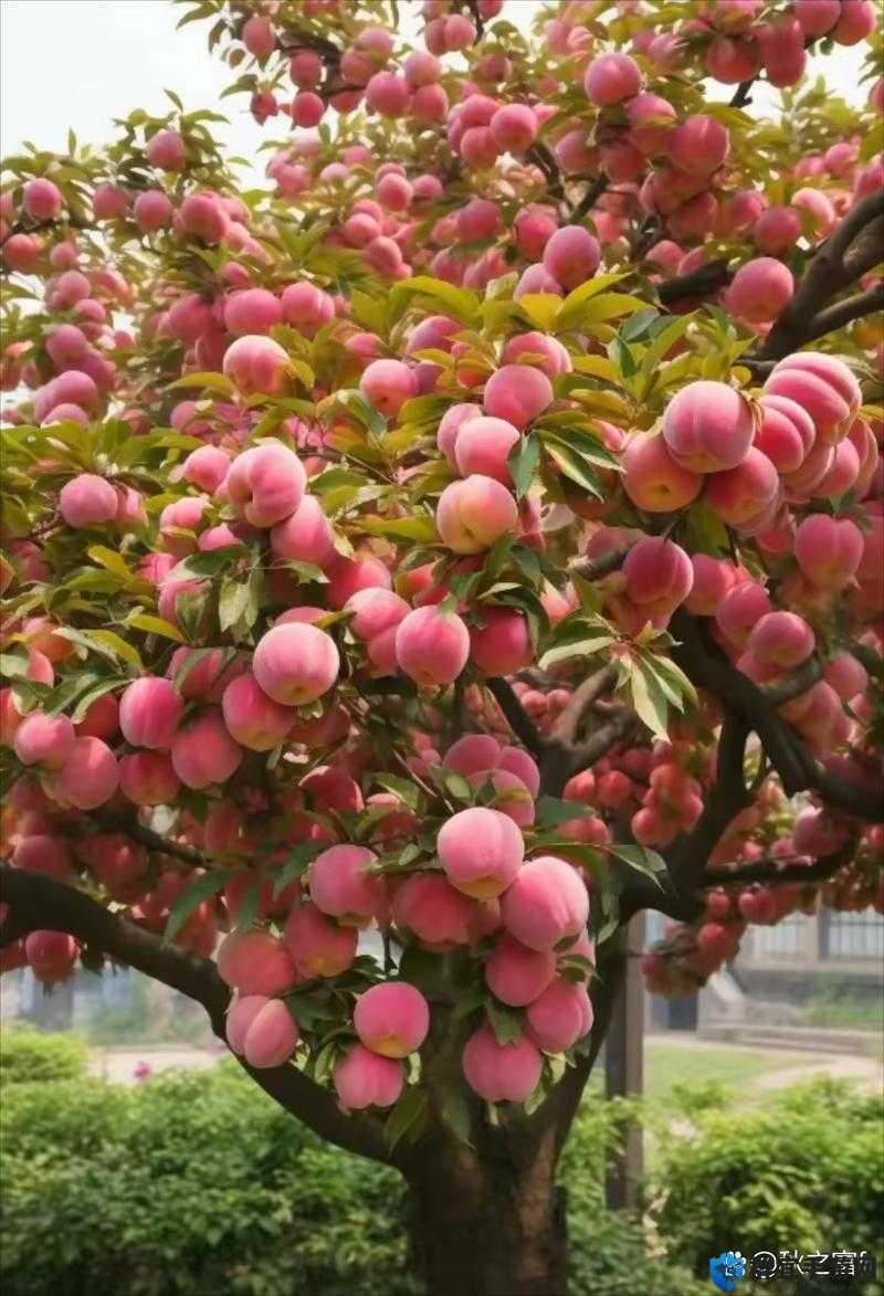 水蜜桃秘密基地：一个梦幻般的桃林仙境