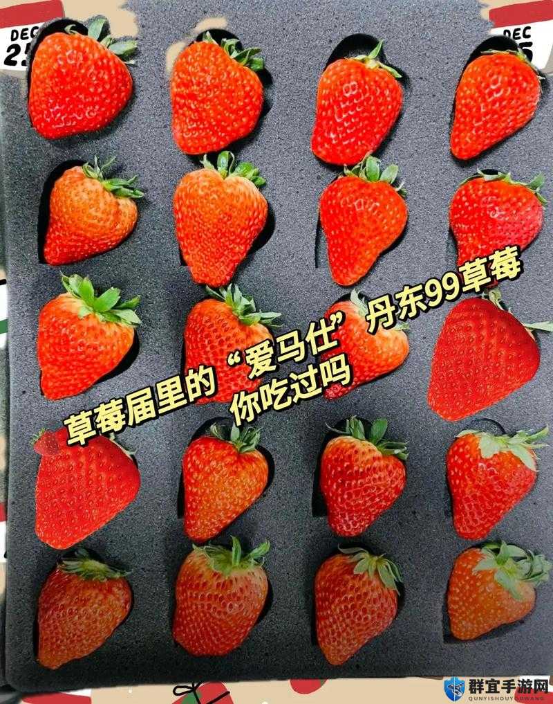 如何通过迈开腿的方式更高效地吃草莓