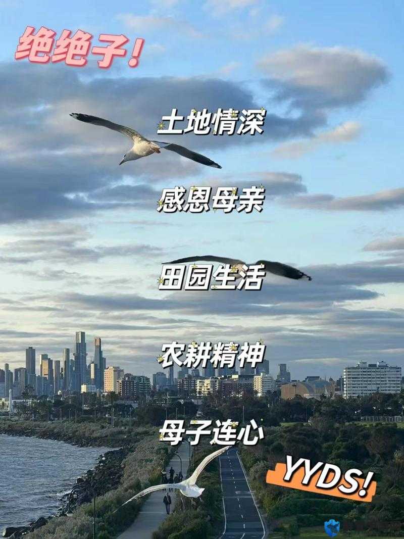 儿子耕种母亲的田地叫什么名字：探寻其中的深意与缘由