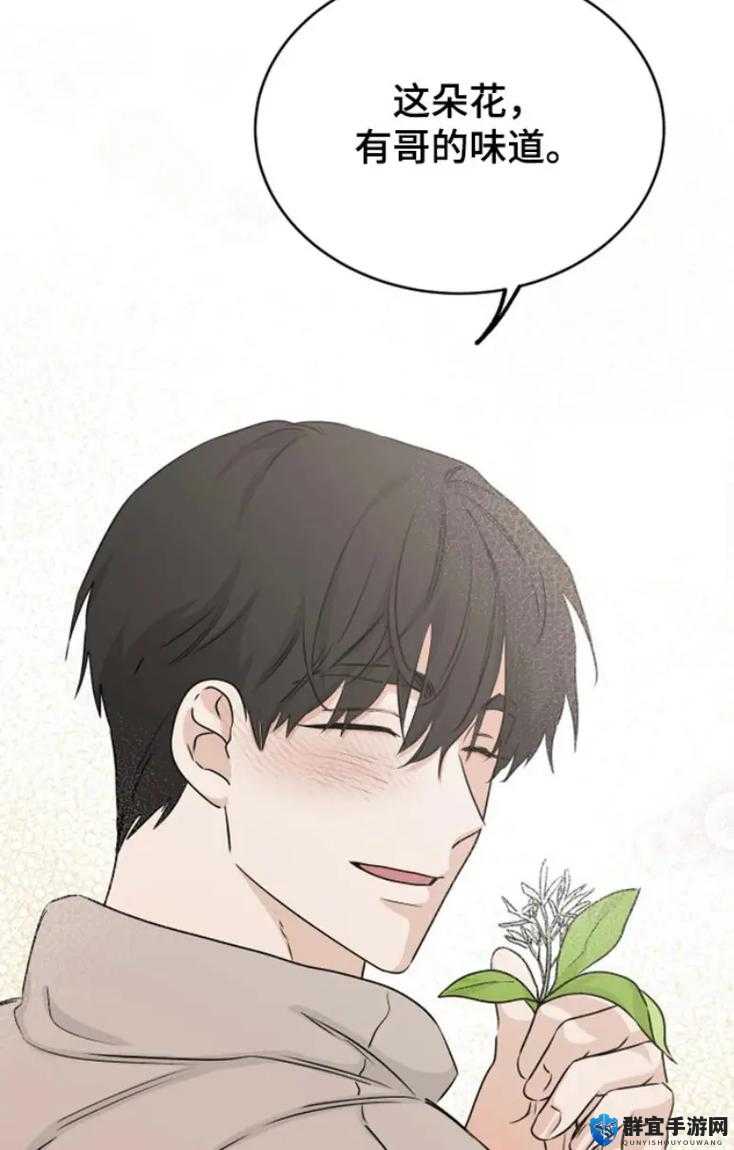 男二也要被（爆炒）吗：被忽视的配角命运