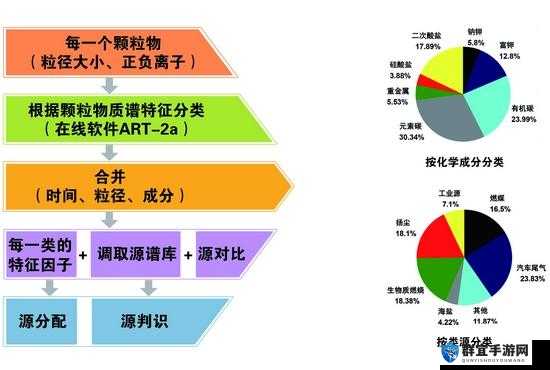 无人区码尺码的制定过程：从调研到标准确立的详细解析