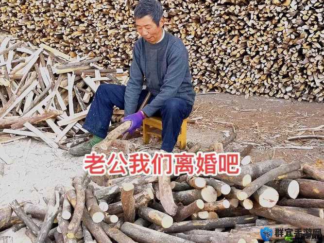 物业电工老赵与刘梦刘香的日常：那些平凡又温馨的时光故事