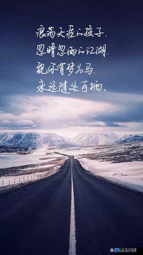 散场后 11h 言禾：那些不为人知的故事与情感追寻