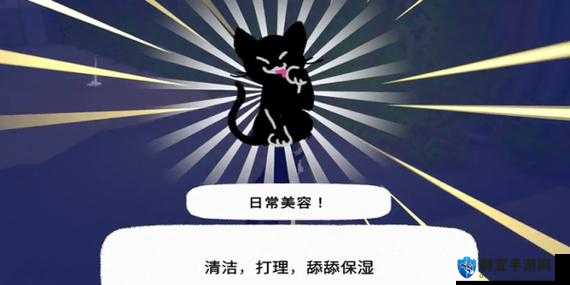 小猫咪大城市日常美容动作怎么获得:详细步骤与方法介绍