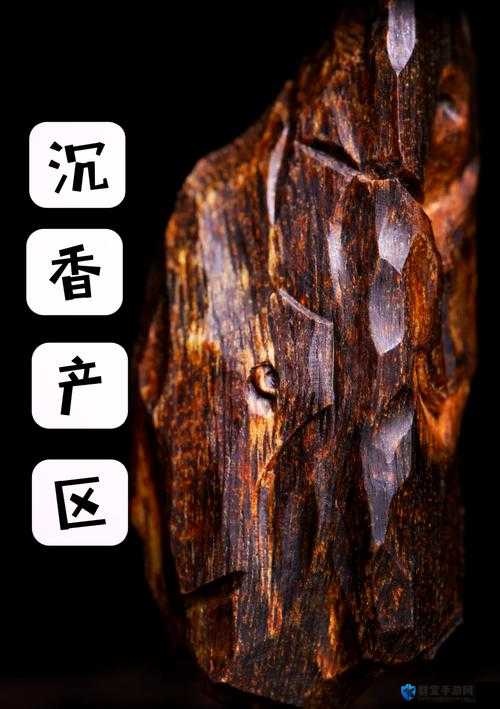 一线产区和二线产区的知名品牌是：探讨其背后的故事与发展