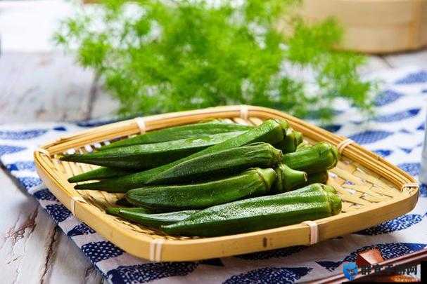 未满十八岁的人能吃秋葵吗：探寻青少年饮食的奥秘