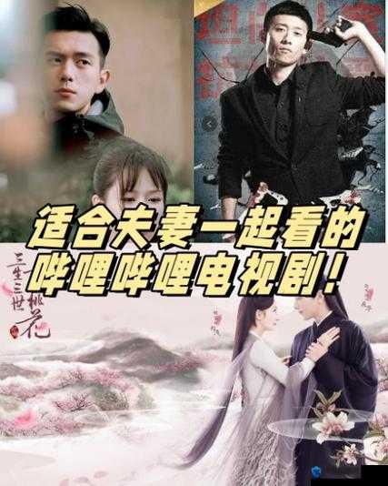 哔哩哔哩适合夫妻看的电视剧之精彩剧集推荐与观剧心得分享
