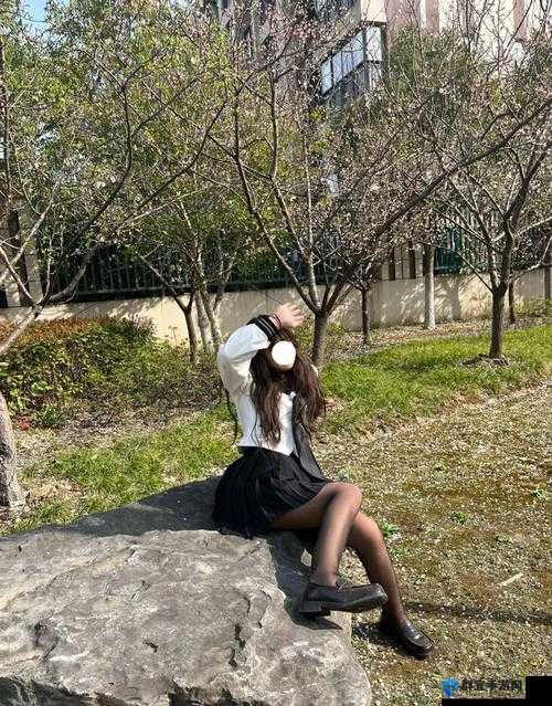 探索凸凸凹 bbwbbwbbwbbw 神秘意涵之路