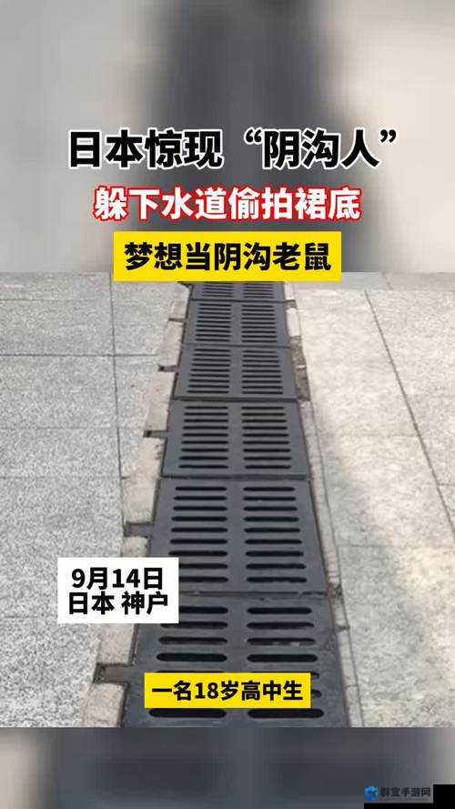 探秘日本：深入探究下水好多下水道之谜